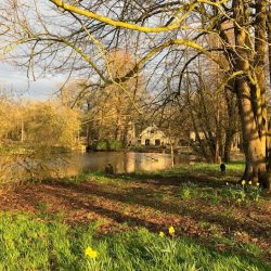 Tuinmanshuis met vijver